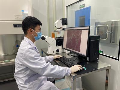 科技創(chuàng)新激活銅川高質(zhì)量發(fā)展澎湃動力 新材料技術(shù)推廣服務(wù)